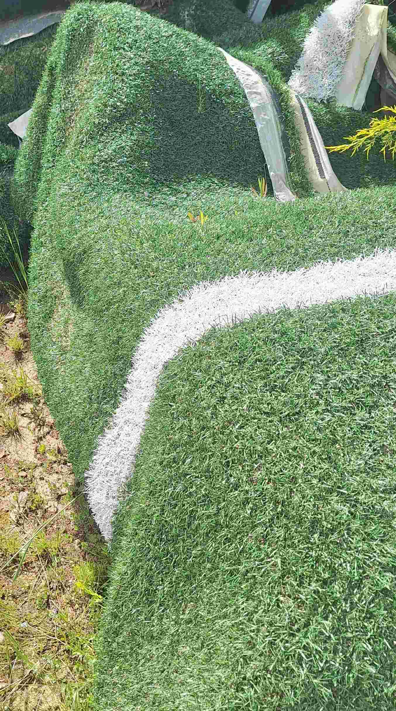 P 00001943 1000005219 5